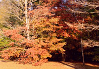 Pix 3 - Milepost 280