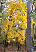 Pix 7 - Milepost 105