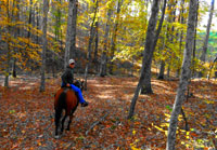 Pix 6 - Milepost 417
