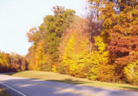 Pix 2 - Milepost 438