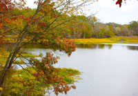 Pix 8 - River Bend
