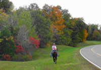 Pix 1 - Milepost 420