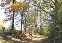 Pix 5 - Old Trace