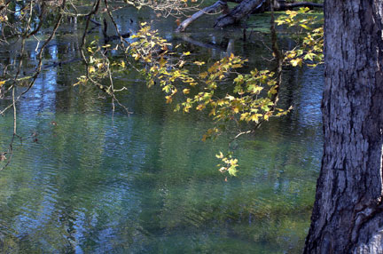 Pix 2 - Rock Spring