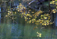 Pix 2 - Rock Spring