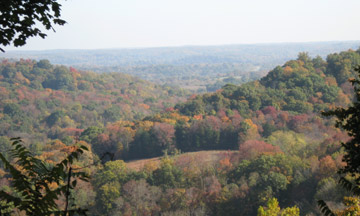 Jackson Falls