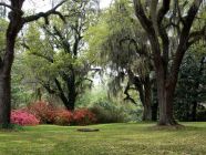 Click image to view slideshow! Click image to view slideshow!