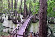Click image to view slideshow!