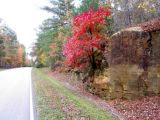 Click image to view slideshow!