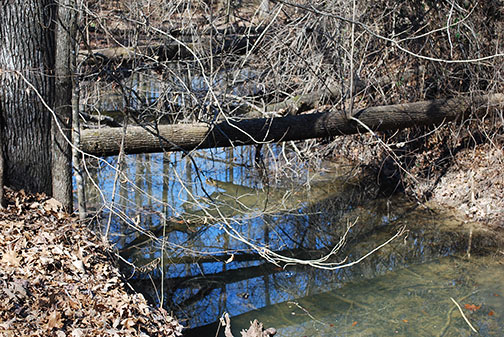 Line Creek - Natchez Trace Parkway
