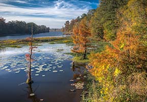 River Bend on the Natchez Trace Parkway