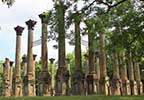 Windsor Ruins on the Natchez Trace Parkway