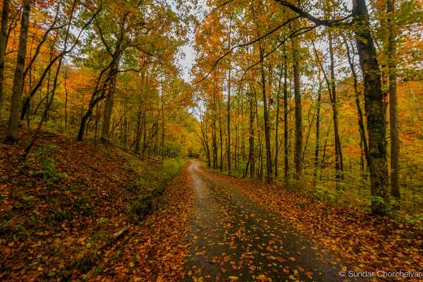 Old Trace Drive - Natchez Trace - NatchezTraceTravel.com