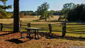 Holly Hill - Natchez Trace Parkway