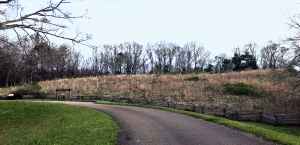 Mangum Indian Mound - Natchez Trace Parkway