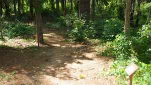 Bullen Creek - Natchez Trace Parkway