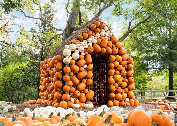 Cheekwood Harvest - Cheekwood Estate and Gardents - Nashville, Tennessee