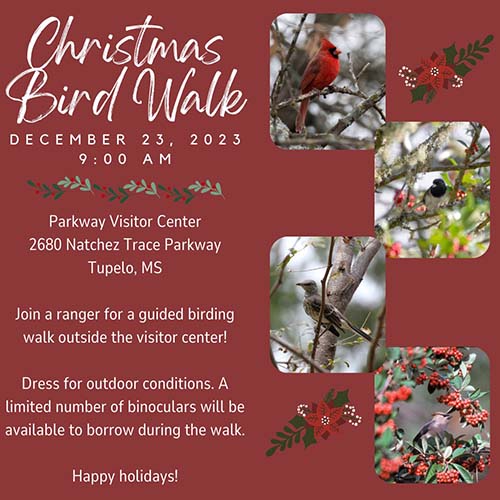 Christmas Bird Walk - Tupelo, Mississippi