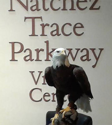 Celebrate the 100th Anniversary of the Migratory Bird Treaty Act with a Live Raptor Program - Tupelo, Mississippi