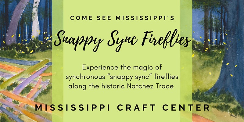 Snappy Sync Fireflies - Ridgeland, Mississippi