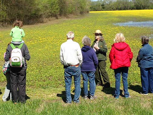 Wildflower Walk at Chickasaw Village - Tupelo, MS