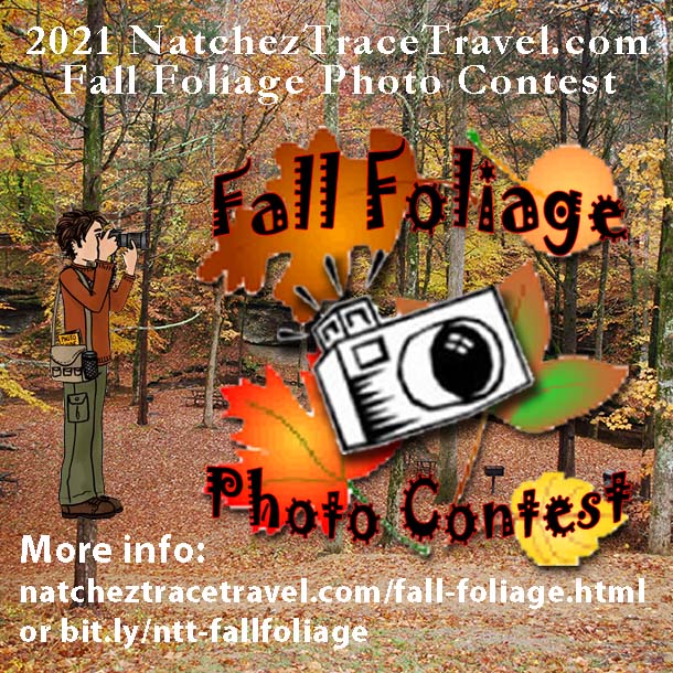Natchez Trace Fall Foliage Photo Contest