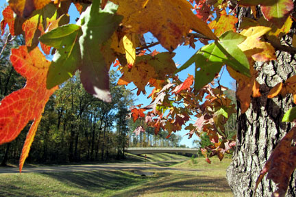 Choctaw Agency - Natchez Trace Fall Foliage