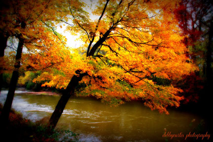 Bear Creek - Natchez Trace Fall Foliage