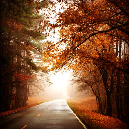 Milepost 310 - Natchez Trace Fall Foliage