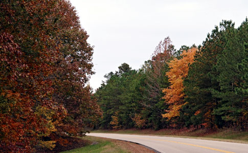Milepost 318 - Natchez Trace Fall Foliage