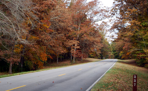 Milepost 337 - Natchez Trace Fall Foliage