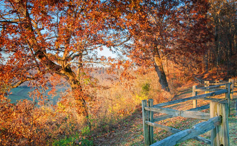 Baker Bluff Overlook at Sunrise - Natchez Trace Fall Foliage