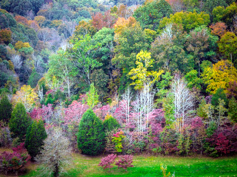 View from Double Arch Bridge - Natchez Trace Fall Foliage