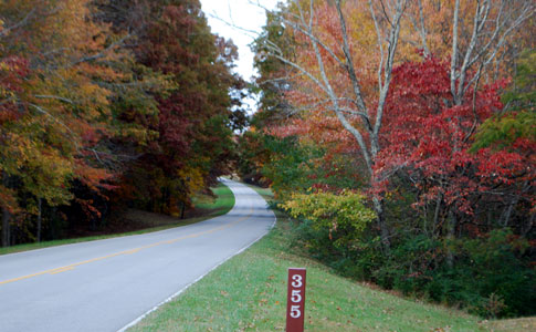 Milepost 355 - Natchez Trace Fall Foliage