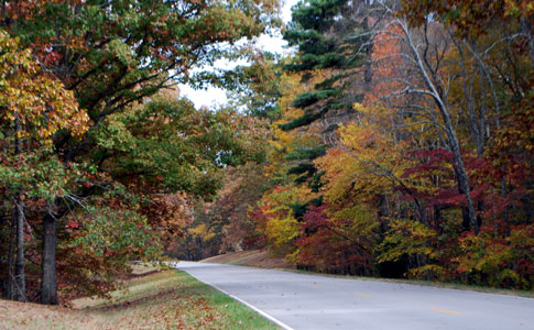 Milepost 367 - Natchez Trace Fall Foliage