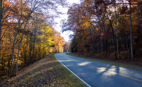 Milepost 373 - Natchez Trace Fall Foliage