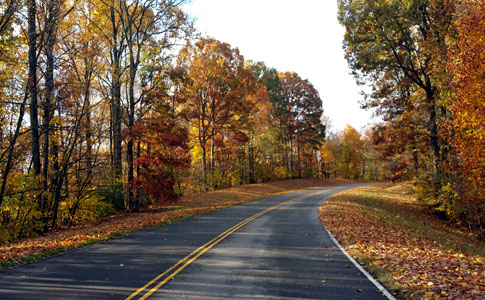 Milepost 420 - Natchez Trace Fall Foliage