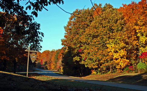 Sheboss Place - Natchez Trace Fall Foliage