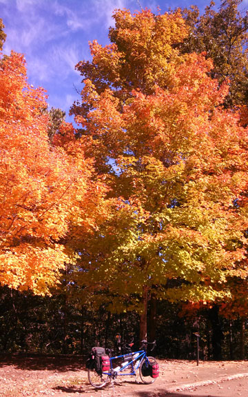 Jeff Busby Park - Mississippi Fall Foliage