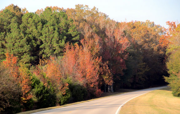 Milepost 260 - Mississippi Fall Foliage