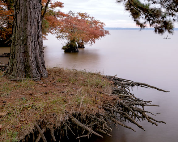 Ross Barnett Reservoir Shoreline - Mississippi Fall Foliage