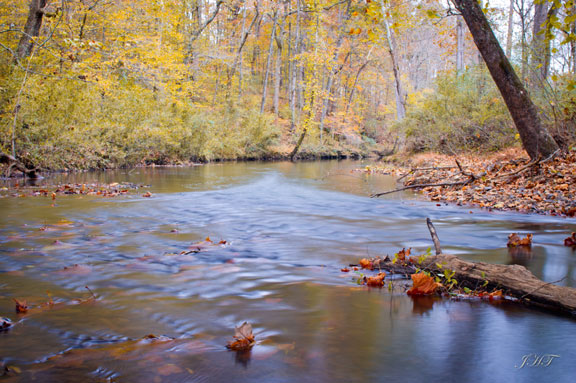 Chief Creek - Tennessee Fall Foliage