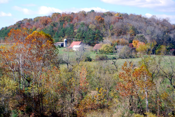 Milepost 427 - Tennessee Fall Foliage