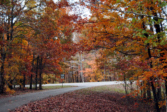 Old Trace Drive - Tennessee Fall Foliage