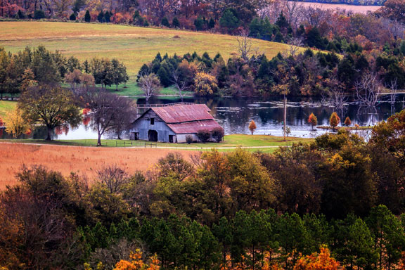 Water Valley Overlook - Tennessee Fall Foliage
