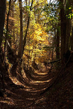 Potkopinu Trail