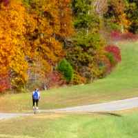 Natchez Trace Parkway: Nashville - Franklin | Fall foliage