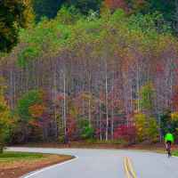Natchez Trace Parkway: Nashville - Franklin | Fall foliage at milepost 431.