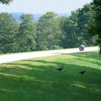 Natchez Trace Parkway: Nashville - Franklin | Motorcycles and turkeys near the northern terminus.