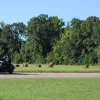 Mississippi - Motorcyles passing by the Bear Creek Mound site.